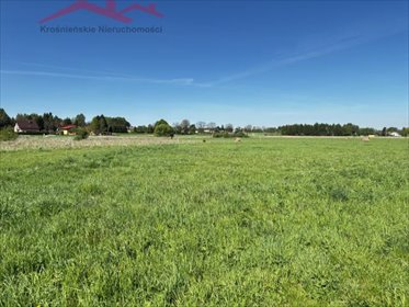 działka na sprzedaż 2900m2 działka Ustrobna