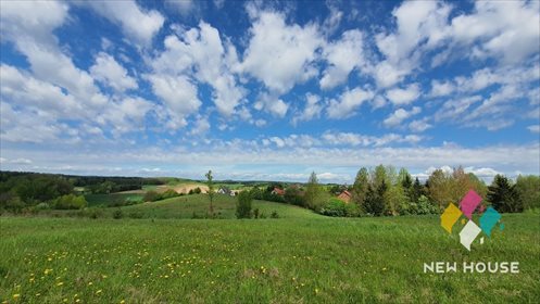 Działka rolna na sprzedaż Brąswałd 3 540m2 Foto 7