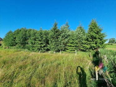 Działka budowlana na sprzedaż Sąpłaty 23 600m2 Foto 4