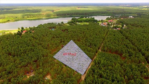 Na sprzedaż działka leśna 4977 m² w Ostrowicie działka Chojnice, Ostrowite