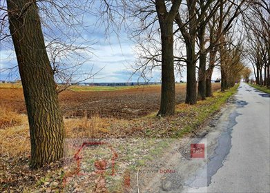 działka na sprzedaż 4600m2 działka Lublin, Zemborzyce