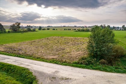 Działka rolna na sprzedaż Nockowa, Iwierzyce 2 100m2 Foto 3
