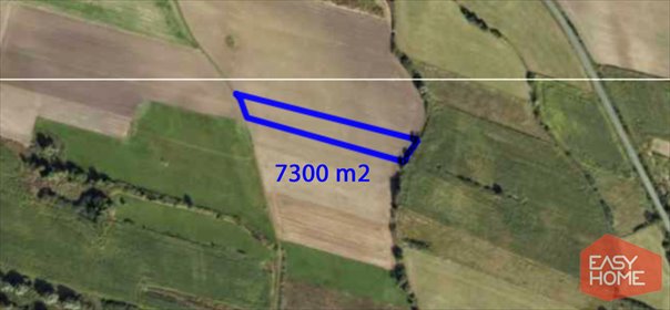 działka na sprzedaż 7300m2 działka Wińsko, 8 Maja