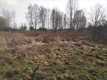 działka na sprzedaż 5800m2 działka Mrozów, Działka mieszkaniowo - usługowa