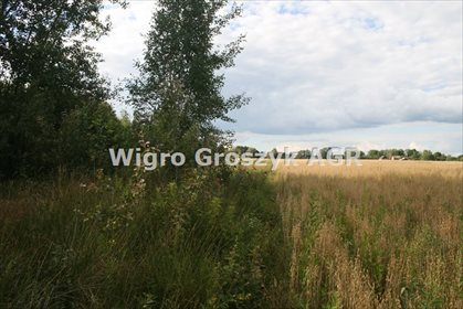 Działka rolna na sprzedaż Wrzosówka 10 500m2 Foto 2