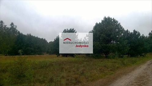 Działka inwestycyjna na sprzedaż Sulejówek, Szkopówka 9 700m2 Foto 2