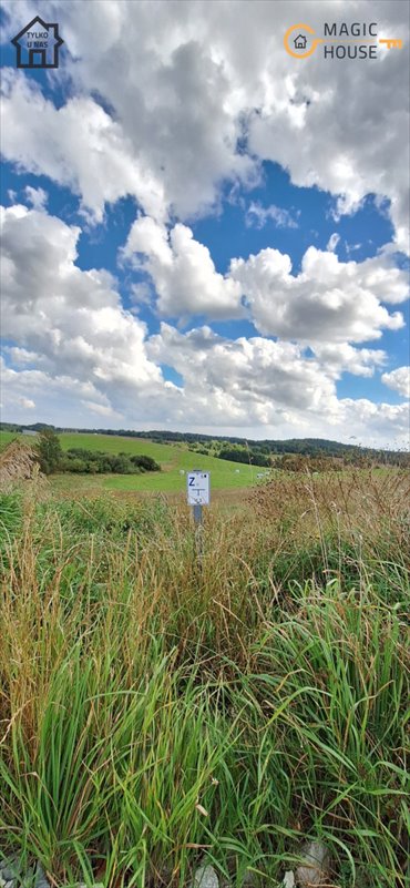 Działka 2473 m² z warunkami zabudowy - polecam działka Przywidz