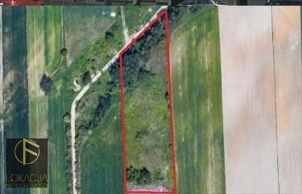 działka na sprzedaż 5400m2 działka Kalisz