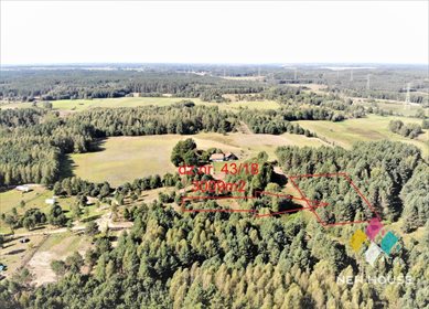 Działka rolna na sprzedaż Giławy 3 009m2 Foto 2