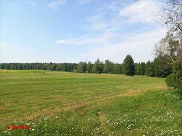 Działka z koncesją na kruszywo 37 ha, dostęp do mediów działka Stary Kobrzyniec