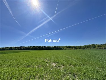 działka na sprzedaż 5500m2 działka Grązów