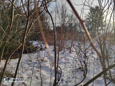 działka na sprzedaż 2000m2 działka Strzeniówka, Magnolii