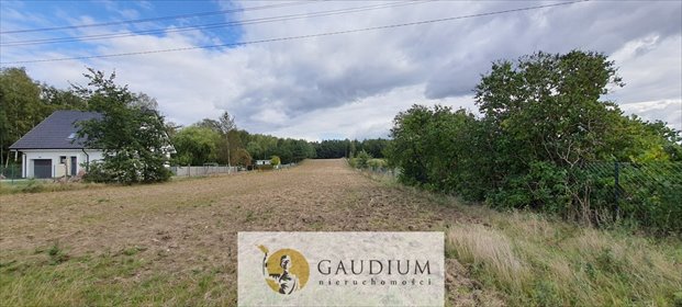 Działka 5000 m² z mediami - las i pola w Koteżach działka Koteże, Podmiejska