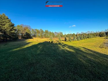 Duża działka pod dom lub inwestycję w Rychliku – 5272 m² działka Rychlik