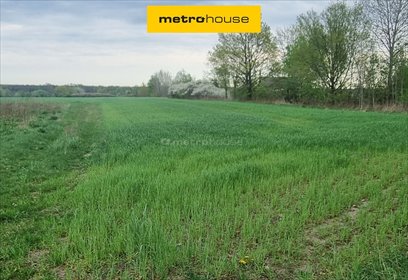 działka na sprzedaż 3000m2 działka Zakrzewo, Zakrzewo Kościelne