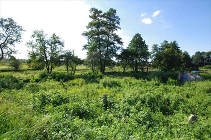 działka na sprzedaż Gwizdanów 1000 m2