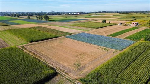 Do sprzedania działka 5100 m² w Piekarach Śląskich działka Piekary Śląskie, Dąbrówka Wielka, Zawiszy Czarnego