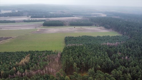 Na sprzedaż działka z lasem 27 000 m² w Gorzakiewie działka Gorzakiew