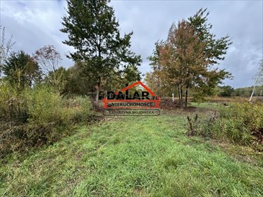 działka na sprzedaż 3200m2 działka Sułkowice, Wierzbowa