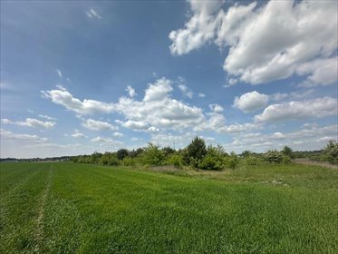 Urokliwa działka rolna 3000 m² w Krzeczynie, blisko lasu działka Krzeczyn
