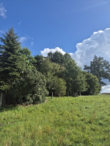 Do sprzedania działka 1038 m² w Sierakowicach działka Sierakowice, Kozielska