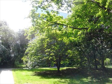 mieszkanie na sprzedaż 47m2 mieszkanie Warszawa, Żoliborz Sady Żoliborskie, Stanisława Tołwińskiego