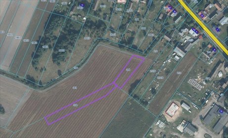 Działka rolna 4000 m² w Nowej Wsi - polecam działka Nowa Wieś