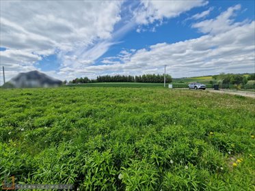 działka na sprzedaż 991m2 działka Szczodrkowice