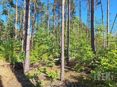 działka na sprzedaż 1000m2 działka Ojrzanów