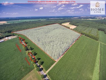 Działka leśna na sprzedaż Nowy Dwór 171 900m2 Foto 1
