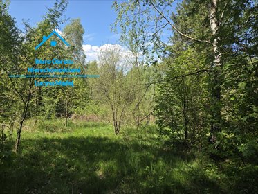Działka 3100 m² w Wysokiej - zapraszam działka Wysoka