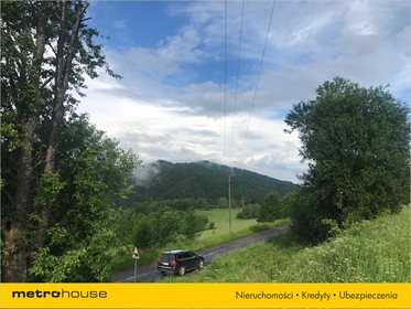 Działka rolna na sprzedaż Bukowiec, Solina 13 100m2 Foto 6