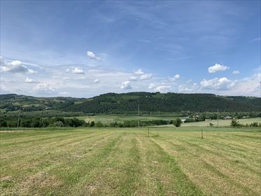 Działka budowlana na sprzedaż Żbikowice 1 226m2 Foto 1