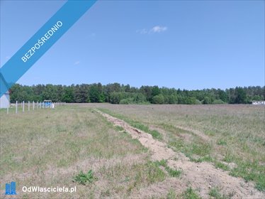 działka na sprzedaż 2600m2 działka Krosino