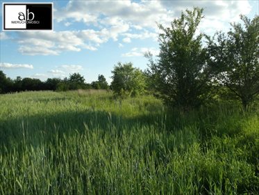 Działka budowlana na sprzedaż Stary Kocin 1 600m2 Foto 4