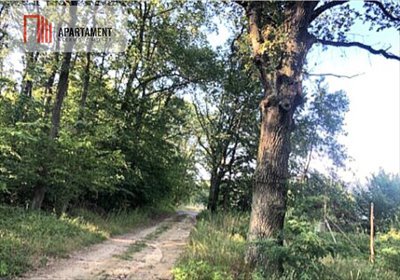 działka na sprzedaż 1138m2 działka Radecz