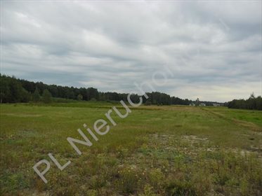 Działka rolna na sprzedaż Wólka-Konstancja 25 520m2 Foto 4