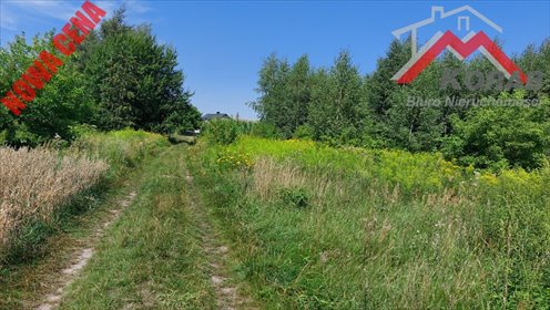 Zapraszam do zakupu działki przemysłowej 2738 m² z planem zagospodarowania działka Nasielsk