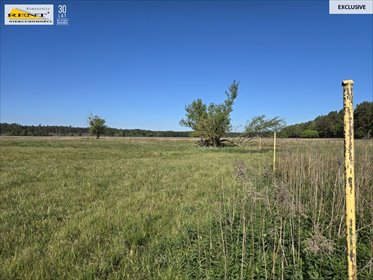 działka na sprzedaż 7600m2 działka Szczecin