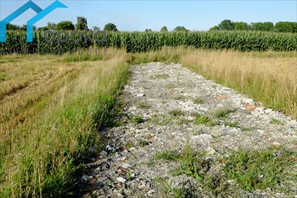 Atrakcyjna działka budowlana 1093 m2 z pełnym uzbrojeniem działka Zaborze, Darwina