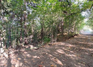 działka na sprzedaż 1543m2 działka Szczawnica