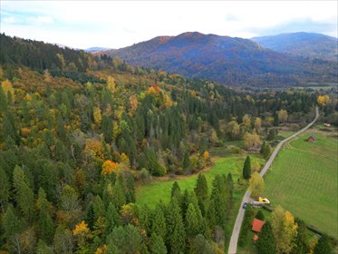 działka na sprzedaż 5000m2 działka Kalnica, gm. Cisna, koło Wetliny