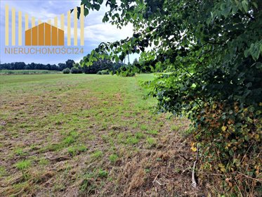 Działka rolna 4550 m² z dojazdem asfaltowym - polecam! działka Mrozy