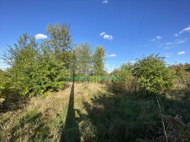 działka na sprzedaż 1500m2 działka Milanówek