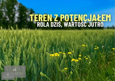 Do sprzedania działka 30 ar z potencjałem mieszkaniowym działka Namysłów, Kowalowice