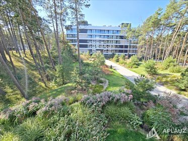 Apartament nad morzem w Rogowie - zapraszam mieszkanie Rogowo, Shellter Apartment