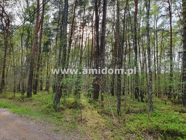 działka na sprzedaż 2093m2 działka Zagościniec