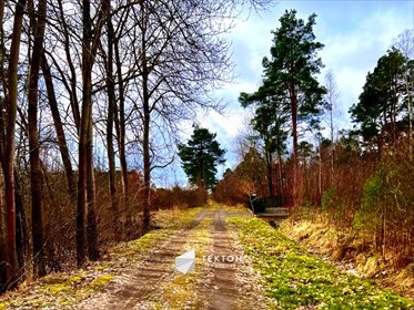 Działka budowlana na sprzedaż Gdynia, Chwarzno-Wiczlino, Sucha 8 057m2 Foto 2