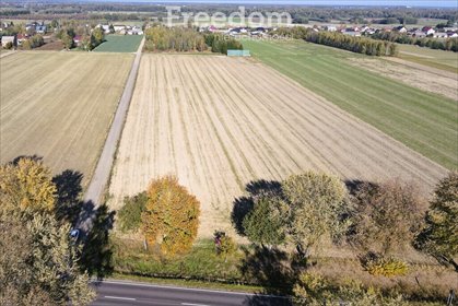 działka na sprzedaż 15532m2 działka Radzyń Podlaski, Wisznicka