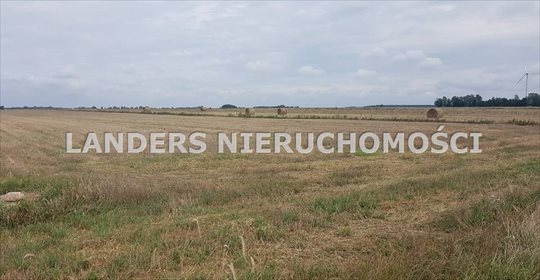 Działka inna na sprzedaż Kazimierz 19 000m2 Foto 5